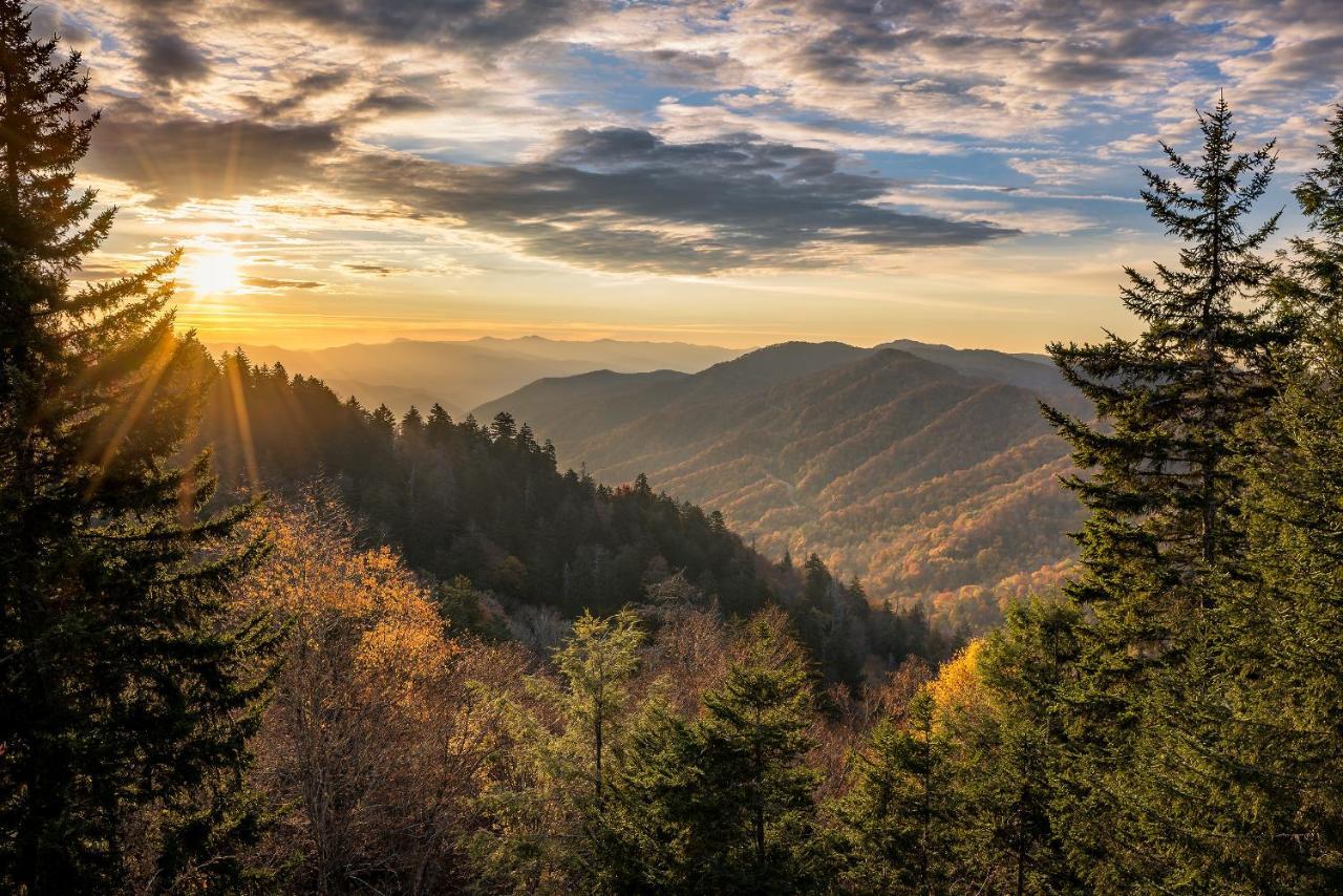 Lazy Cub Lodge Pigeon Forge Εξωτερικό φωτογραφία