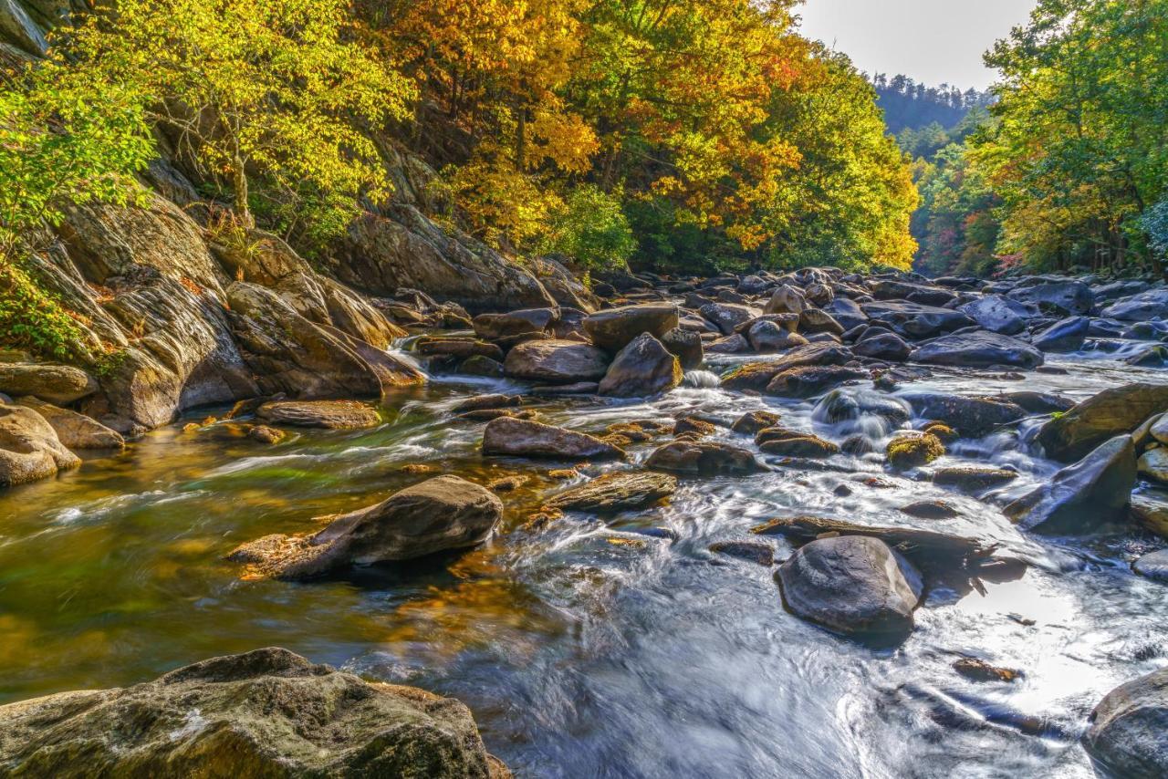 Lazy Cub Lodge Pigeon Forge Εξωτερικό φωτογραφία