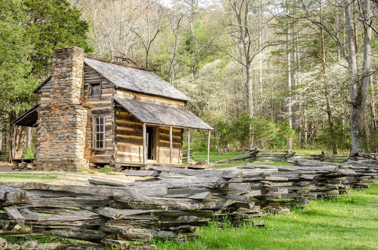 Lazy Cub Lodge Pigeon Forge Εξωτερικό φωτογραφία