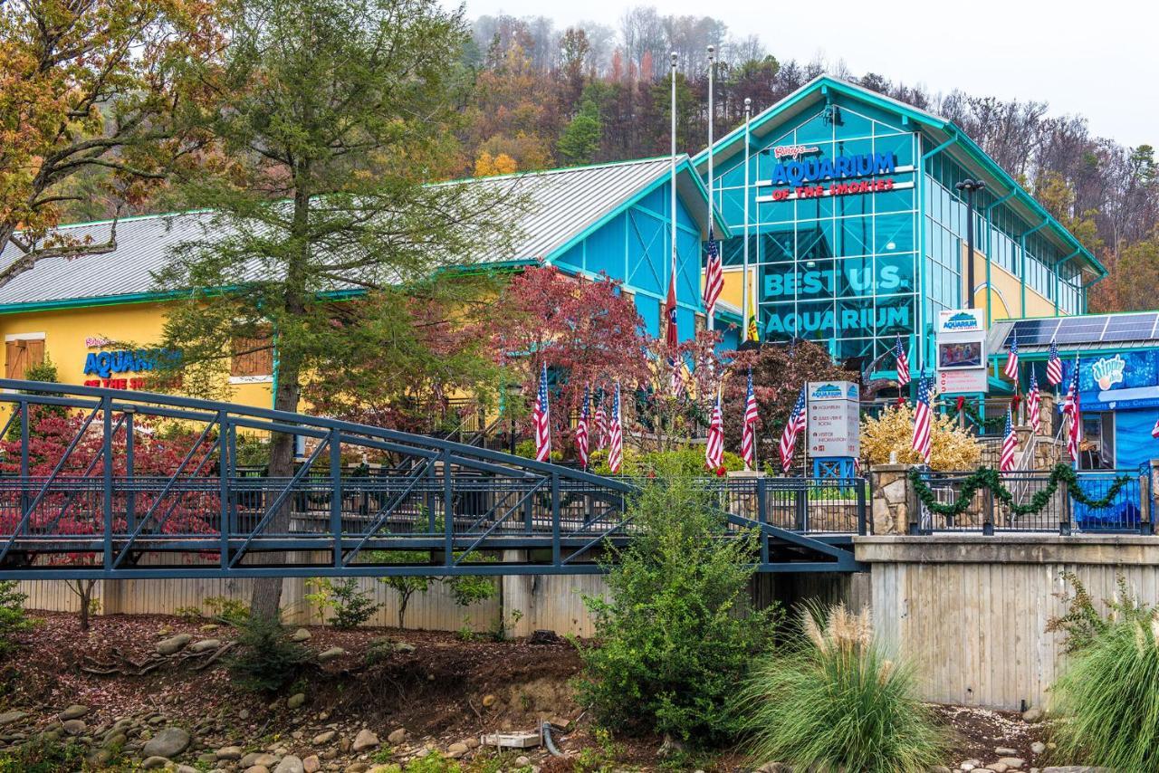Lazy Cub Lodge Pigeon Forge Εξωτερικό φωτογραφία