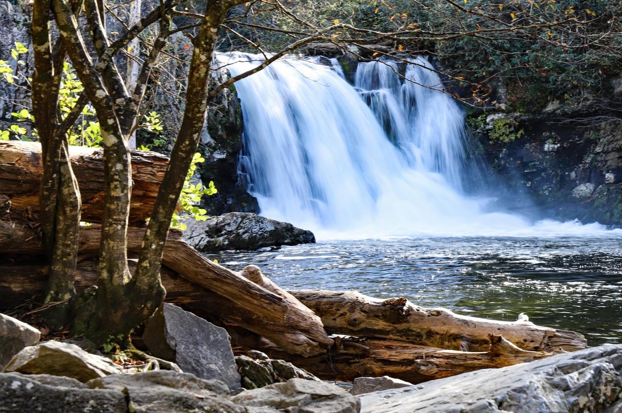 Lazy Cub Lodge Pigeon Forge Εξωτερικό φωτογραφία